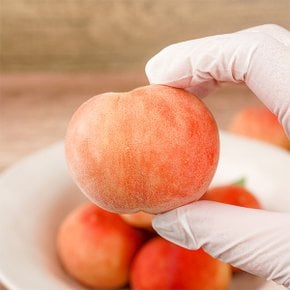[유명산지] 자연맛남 달콤한 대극천 납작이 복숭아 3kg (28-39과내외)