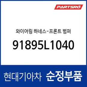 와이어링 하네스-프론트 범퍼 (91895L1040) 쏘나타 디 엣지 (DN8)