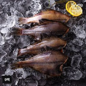 100% 국내산 손질 가자미 3미X9팩 (팩당 250g, 3미, 총 27미)[34997955]