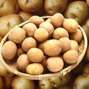 포미식탁 포슬포슬 두백감자 햇 감자 2L 왕특 3kg