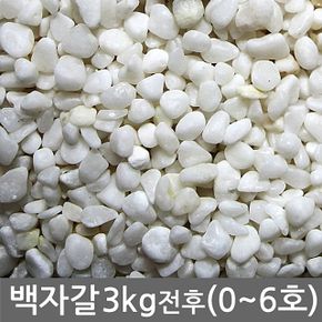 백자갈 3kg전후 0호-7호(칼라원석 어항 화분 미술재료