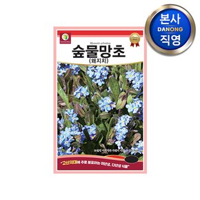숲물망초 왜지치 씨앗 100립 . 숲꽃마리 파란 물망초 야생화 식물 꽃 꽃씨 종자