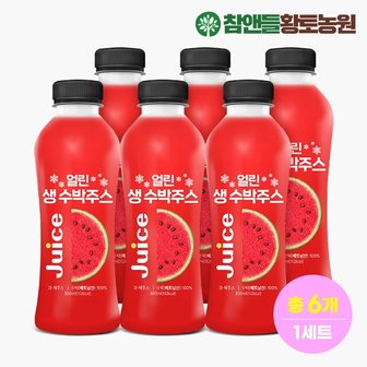 참앤들황토농원 데이앤 얼린 생 수박주스 300ml x 6병