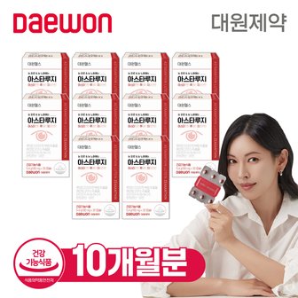  대원헬스 아스타 루지 10박스