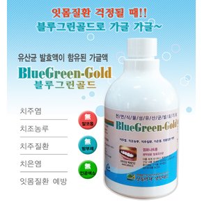 치주염 치주질환 예방 블루그린골드 350ml 4병