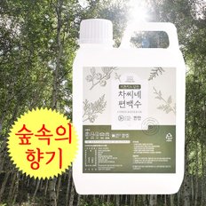 [특별행사가] 은은한 차씨네 편백수 스프레이 2리터, 500ml 2개 중 선