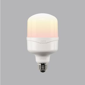 T-벌브 LED MEGA 전구색 KS 20TYPE18W X ( 2매입 )