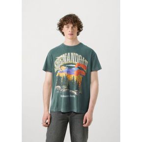 4991744 Abercrombie  Fitch NATIONAL PARKS - Print T-shirt scarab/acid wash