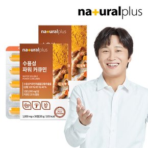 수용성 파워 커큐민 30정 2박스 / 울금 강황분말