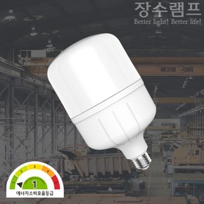 장수램프 LED 매장 램프 20 30 40W 고와트 전구 1등급