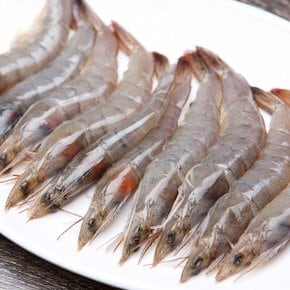 횟감용 제철 활 새우 중 1kg 35미내외(실링/빙장포장)