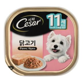 시저 닭고기 캔 11세이상 100g UNP0067 X ( 3매입 )