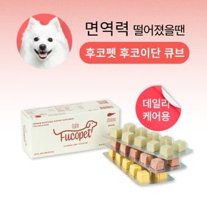 후코이단 큐브 (강아지 전용 후코이단)