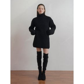 Alpaca High Neck Knit Dress_2Color