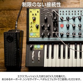 MOOG EP-3 익스포션 페달, 폴라리즘 리버스 시스템 탑재 키보드 및 컨버터 리버전 키보드용