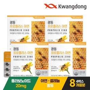 내츄럴플러스 광동 프로폴리스 아연 60캡슐 4박스(8개월분) / 플라보노이드 셀레늄
