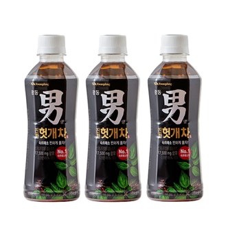  광동 힘찬하루헛개차 340ml 10펫