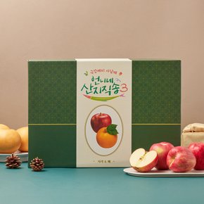 [언니네 산지직송] 사과배 혼합 선물세트_4.5KG(박스)