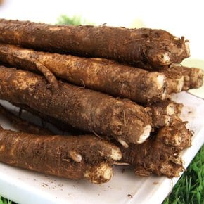 금산 울몸애 세척 식용도라지 (왕특) 800g