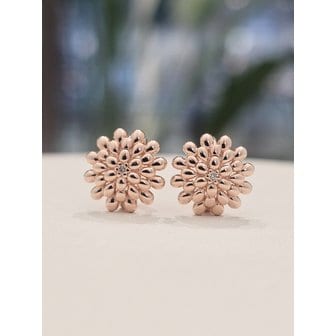 로제도르 [시흥점] E  루벨리아(D)P14K로즈골드 귀걸이(210103256)