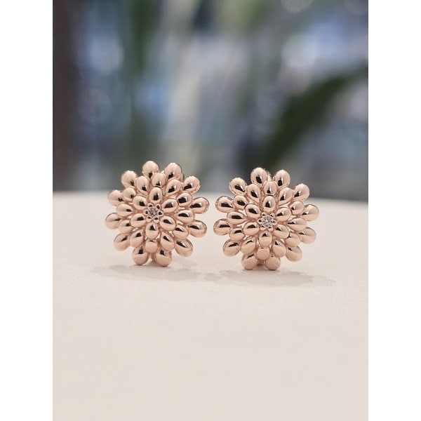 [시흥점] E  루벨리아(D)P14K로즈골드 귀걸이(210103256)