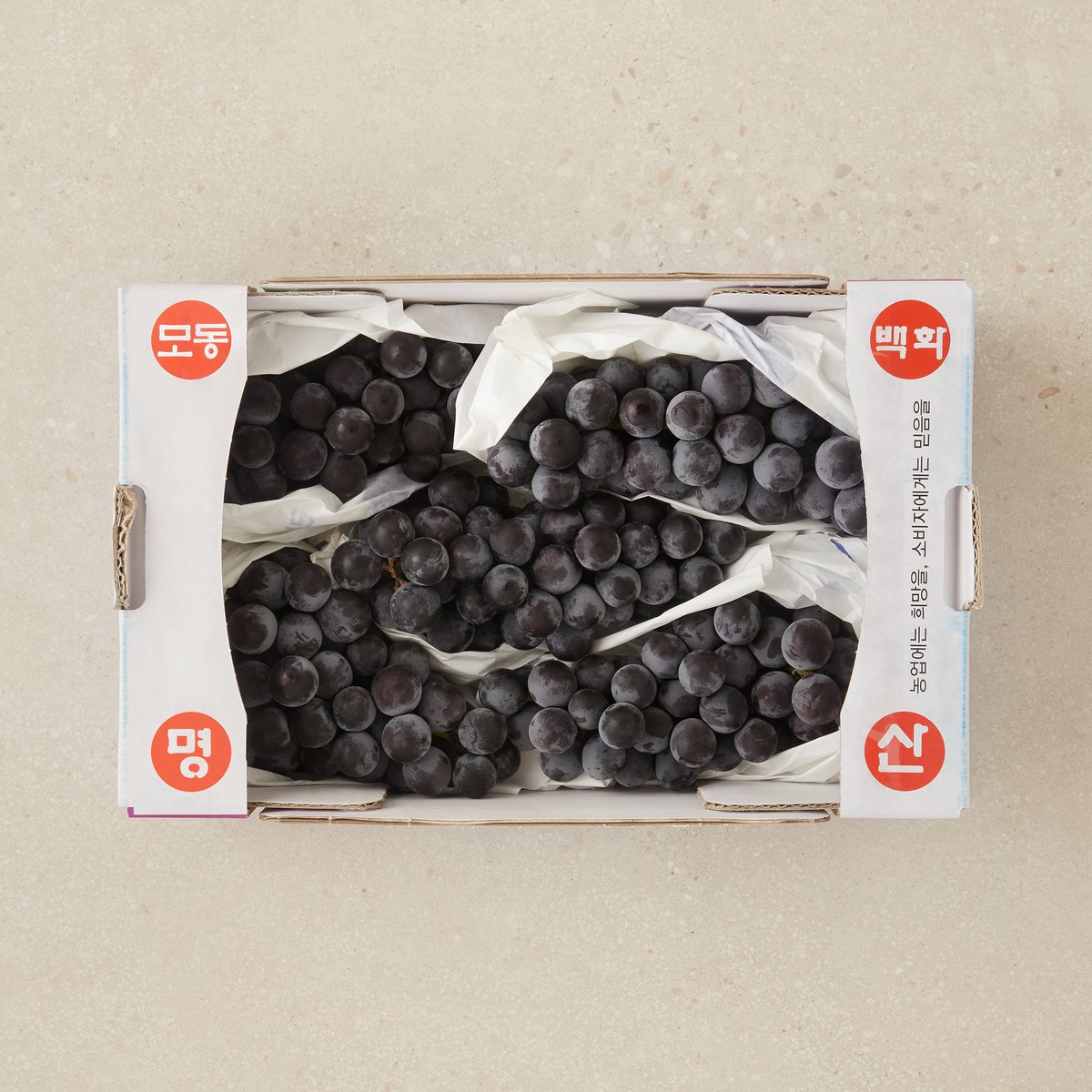유명산지 모동 백화명산 캠벨 1.5kg (박스) - SSG.COM