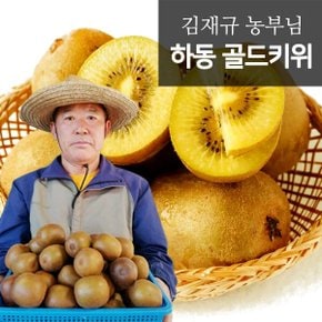 하동 맛있는 GAP 인증 골드키위 10kg (115과내외)