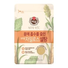 CJ제일제당 백설 브라운 자일로스 설탕 500g x6개