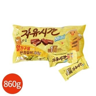 해태제과 해태 미니 자유시간 860g (10g x 86입)