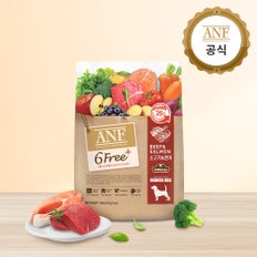 [N] ANF 식스프리플러스 인도어 독 소고기&연어 1.6kg