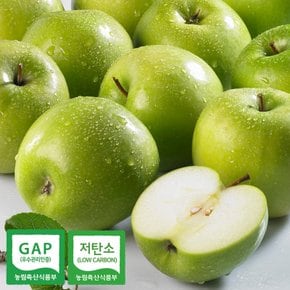 경북 초록사과 아오리 썸머킹 2kg~5kg