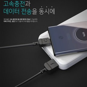 블랙스미스 C타입케이블 2m /고속충전케이블