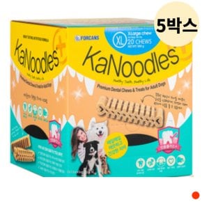 포켄스 강아지 간식 개껌 카누들 잇몸 필로팩XL 5박스