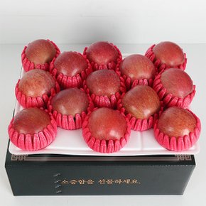 [9/12 오전7시까지 주문시 명절전배송][촌아저씨]명품 사과선물세트 3kg (13과내외)