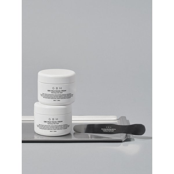 스테인레스 스틸 스파츌라