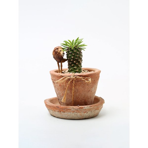 확대된 대표 Main Image