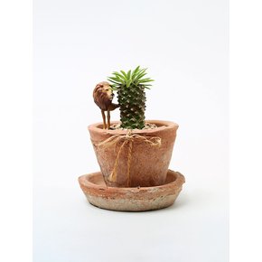 작은 태양 파인애플 (Little Sun Pineapple) 괴마옥 빈티지 토분(s)