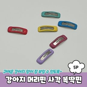 강아지 머리핀 사각 똑딱핀 말티즈 삔 5P 애견핀 미간핀