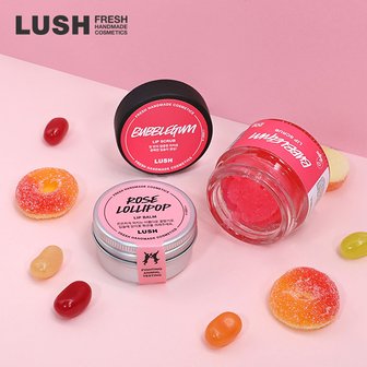 LUSH [공식]로즈 롤리 팝 +버블검 세트 ( 립밤 + 립 스크럽)