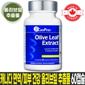 올리브잎추출물 500mg 60정 / 면역기능, 피부건강, 대사활성화 지원 캡슐형 영양제