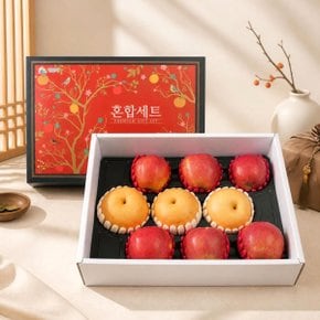 [9/15 순차출고] [농협] 프리미엄 사과/배 혼합세트 4kg(사과6과,배3과)