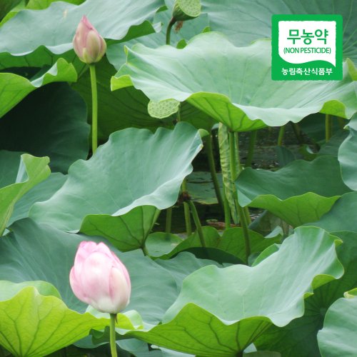 상품이미지2