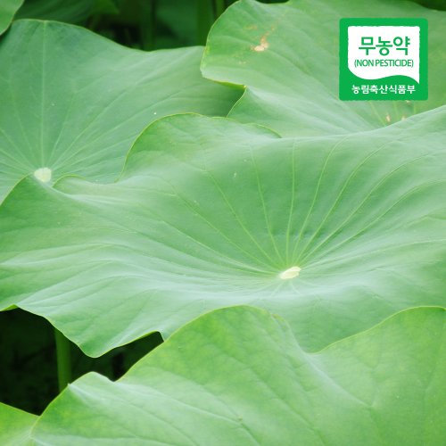 상품이미지3