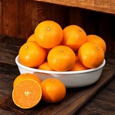제주푸드마씸 현가원 서귀포 천혜향 5kg (실속형, 35과 내외, 실중량)