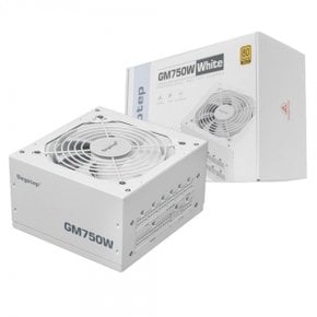 Segotep GM750W GOLD 풀모듈러 ATX 3.1 (PCIE5.1) W