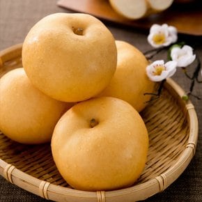 [9/15 순차출고] [농협] 프리미엄 사과/배 혼합세트 4.5kg(사과3과,배6과)