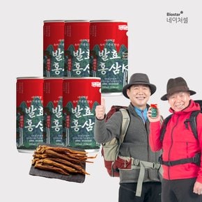 발효홍삼K 6입