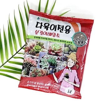 마이플랜트 다육이흙 1L