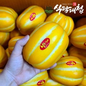 가정용 성주 꿀참외 10kg (10~30과) 대과