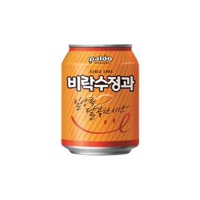 비락 수정과 238ml